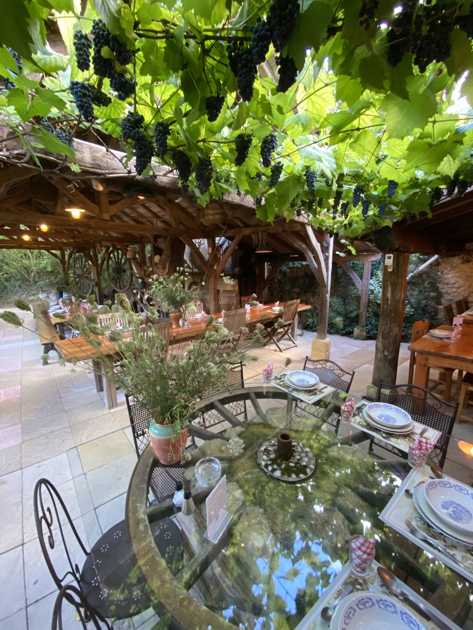 La treille chargée de grappes au-dessus des tables dressées de la terrasse.